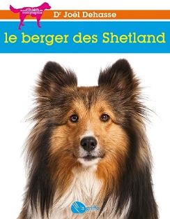 le berger des shetland berger shetland