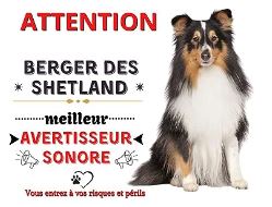 panneau attention berger des shetland berger shetland