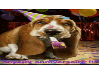 carte anniversaire animée chien langue de belle-mère