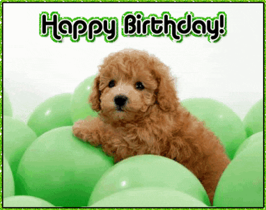 happy birthday card dog