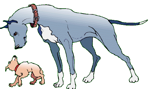 grand chien contre petit chien