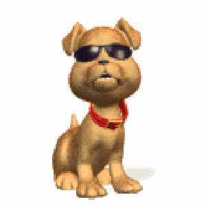 gif animé chien avec lunettes de soleil