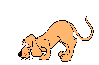 image animée chat qui mord la queue d'un chien