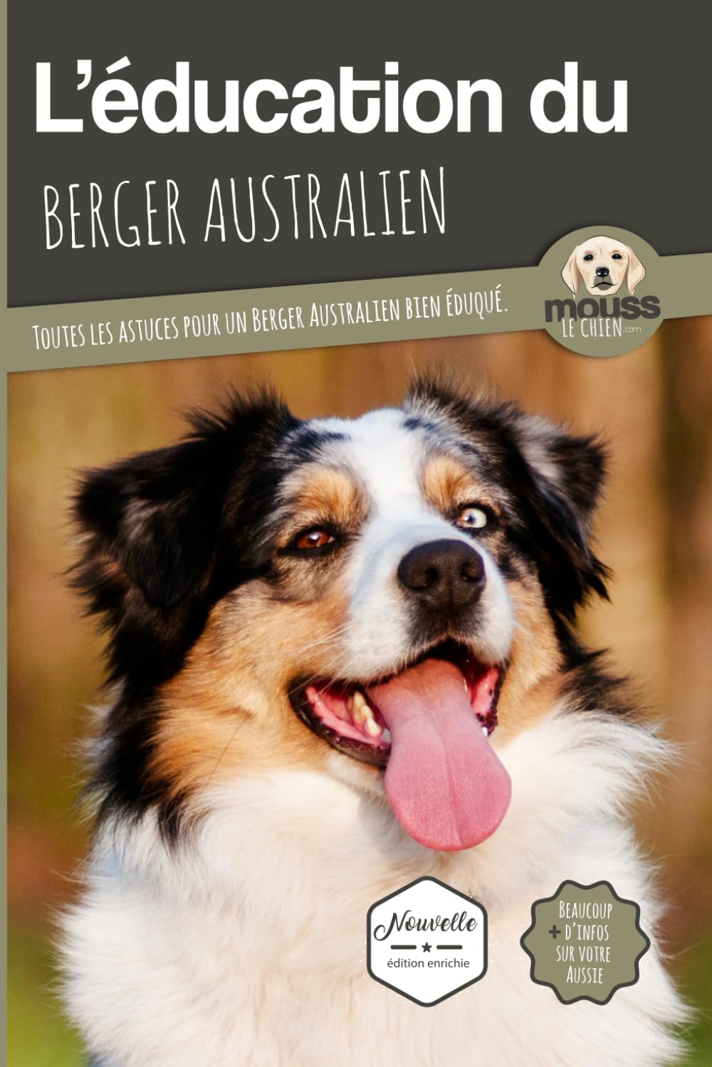Toutes les astuces pour un Berger Australien bien éduqué education du berger australien