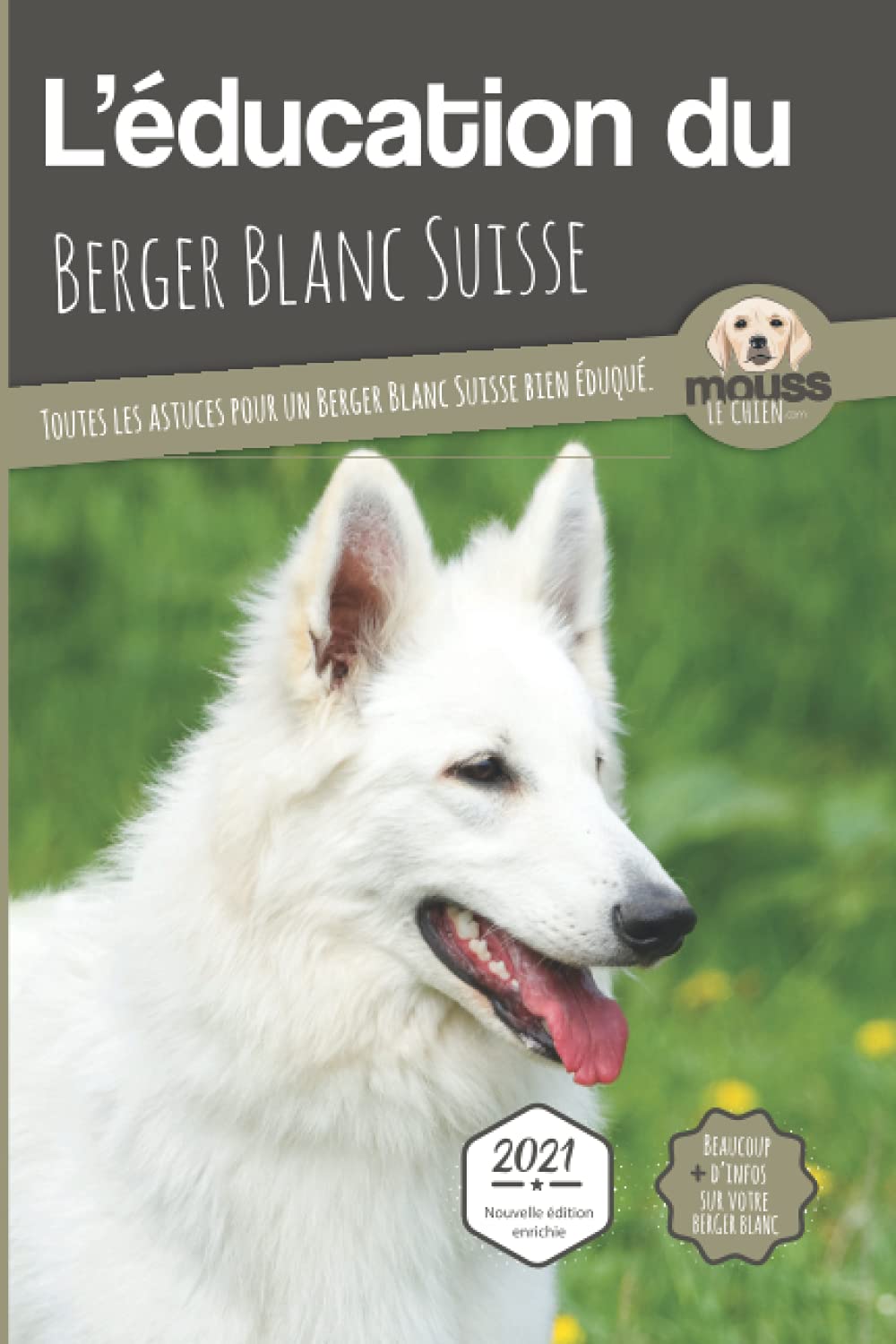 education du berger blanc suisse