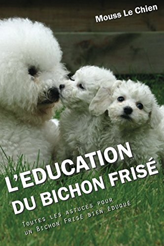 education bichon frise