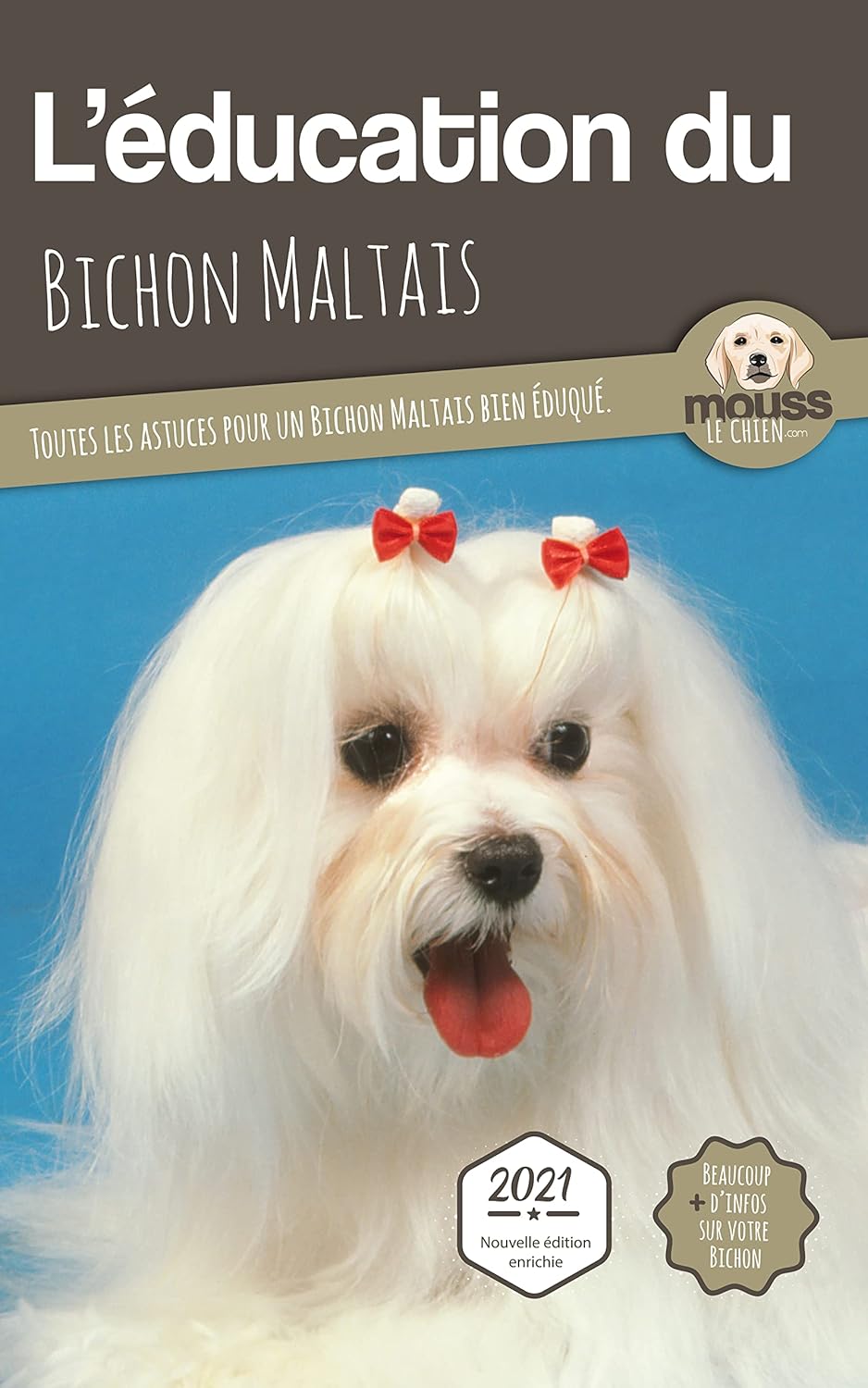 education bichon maltais