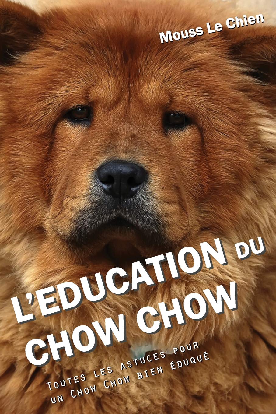 éducation du chow chow