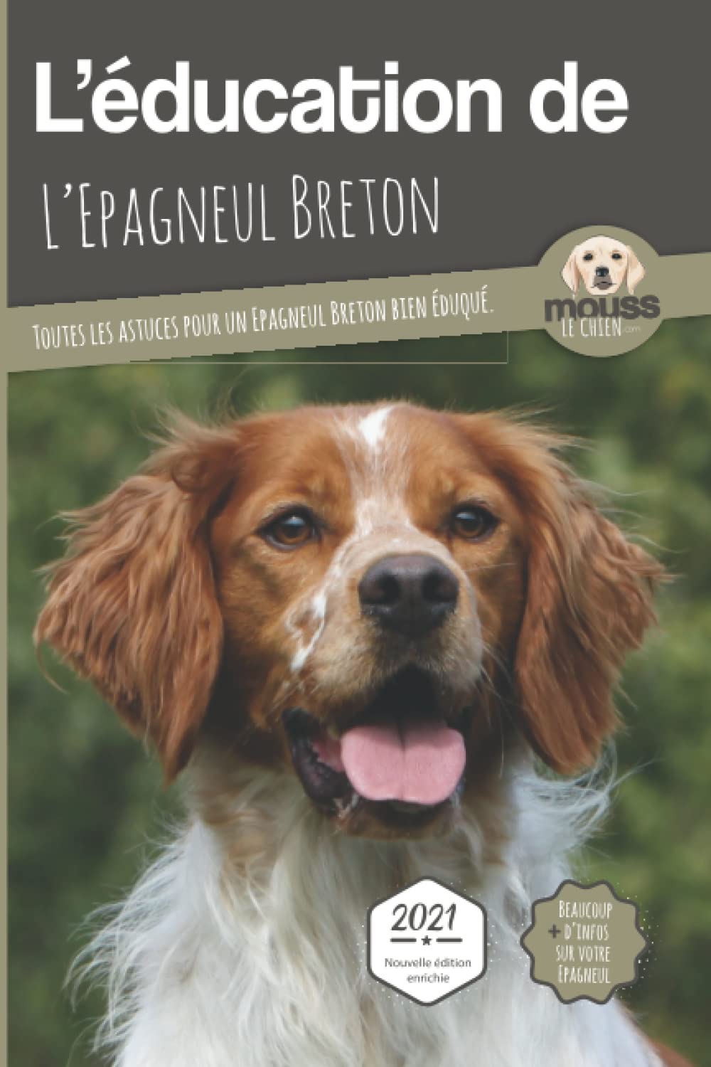 education epagneul breton