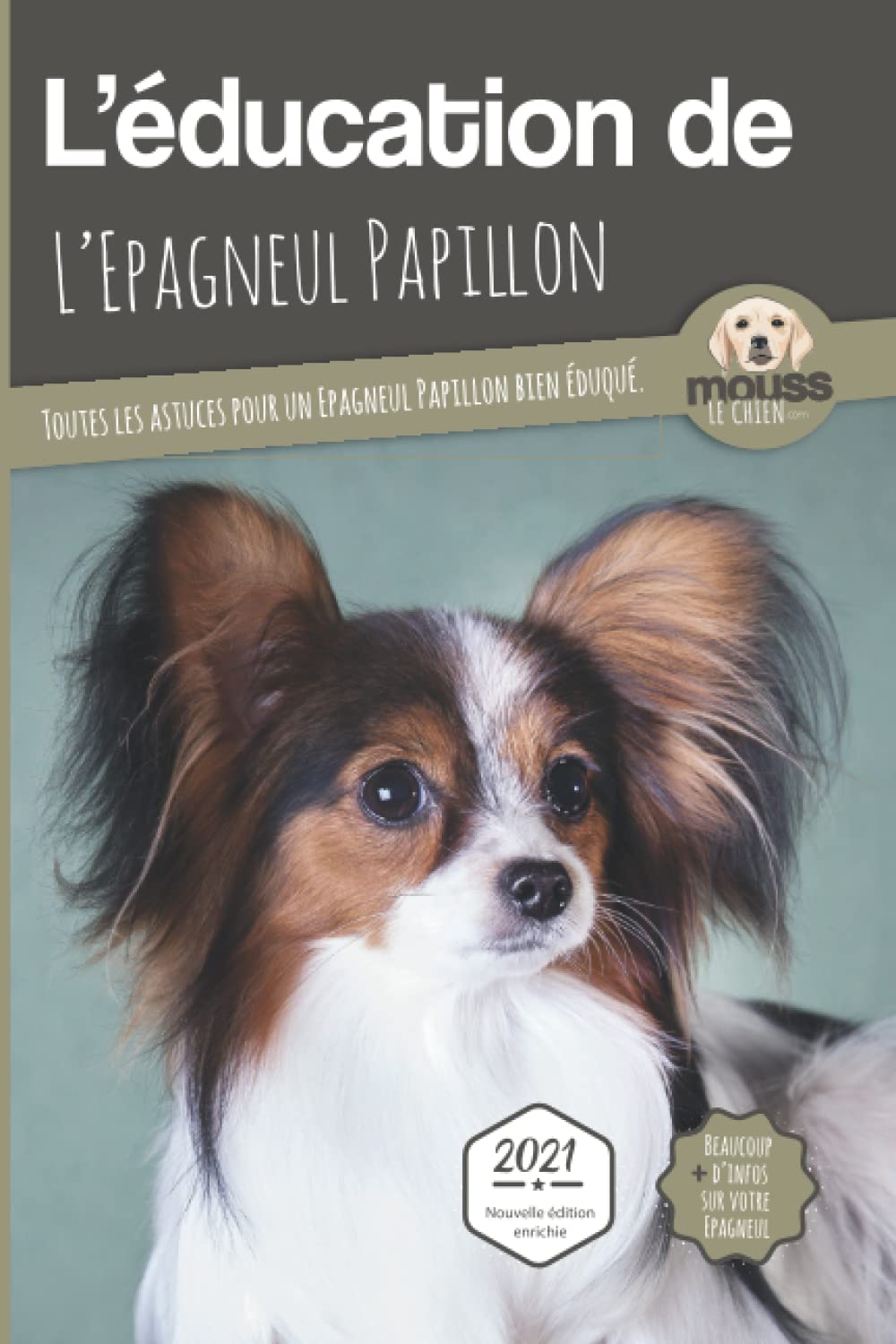 education epagneul papillon