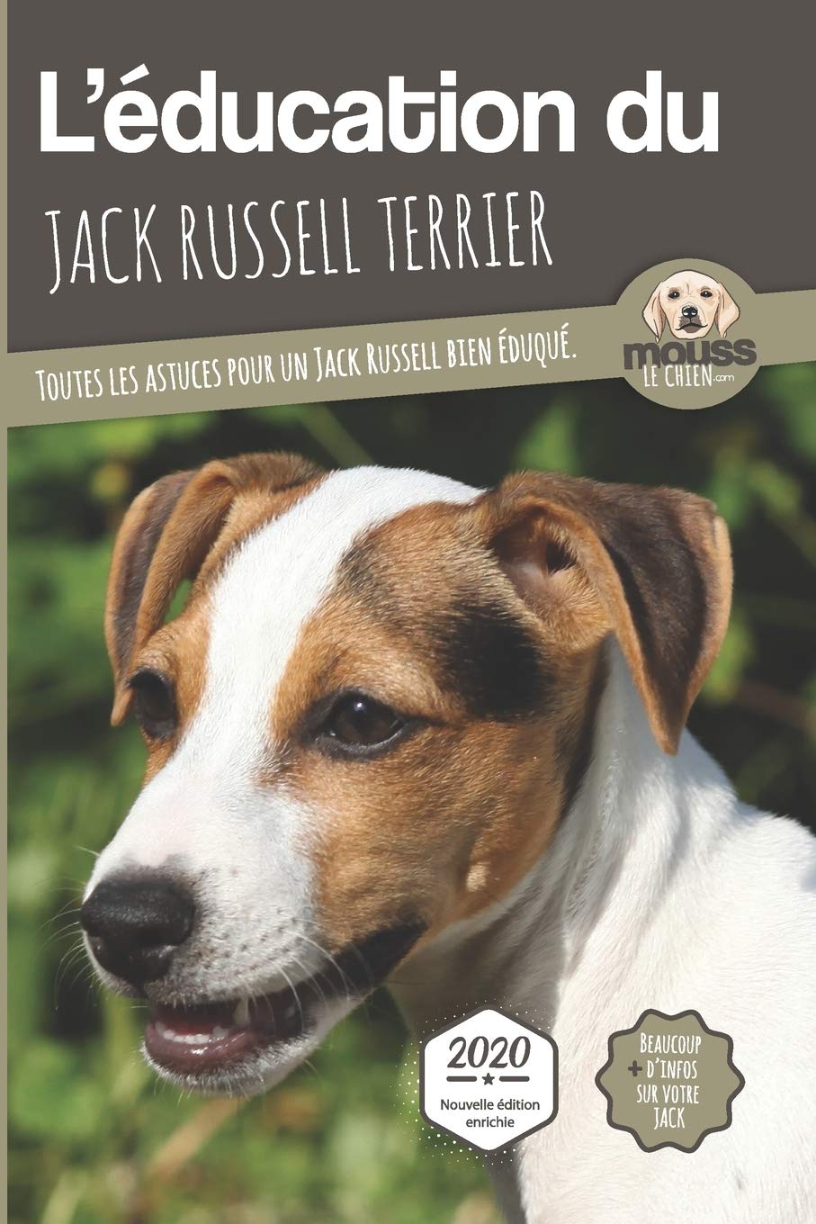 education jack russel