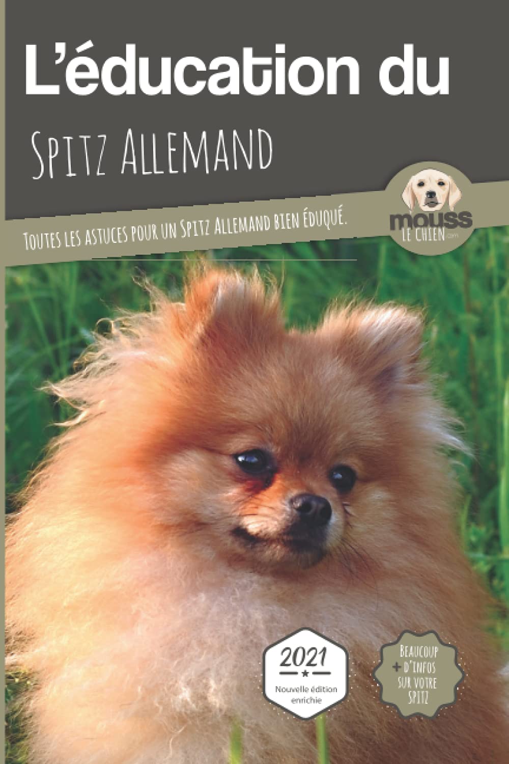 education spitz allemand