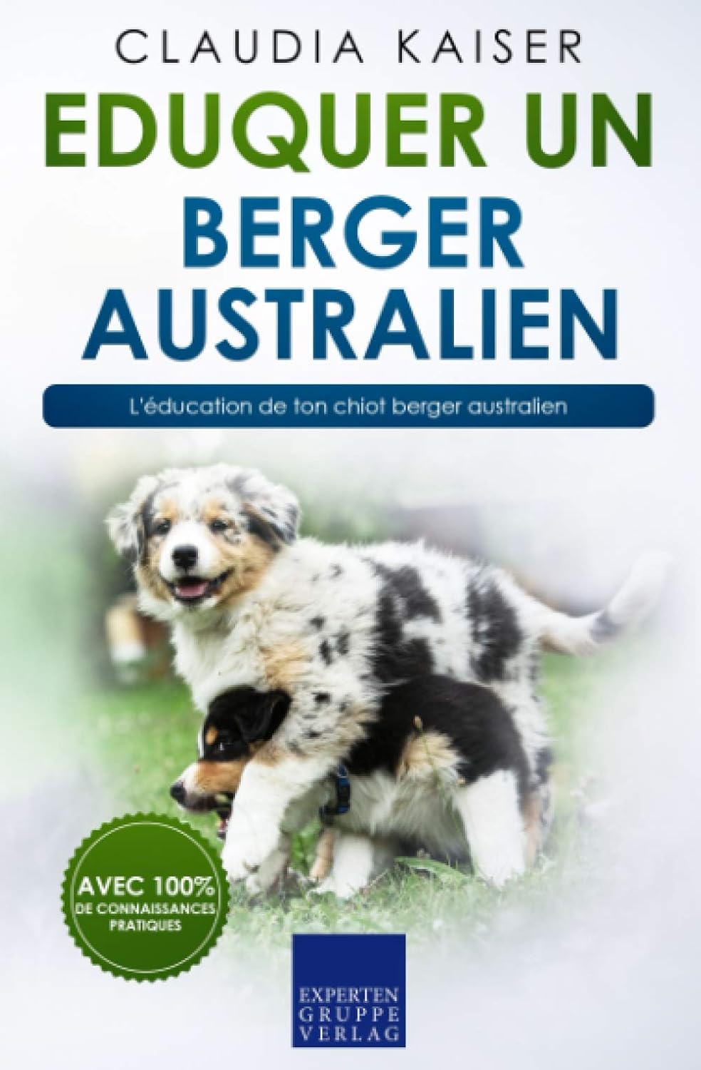 eduquer un berger australien