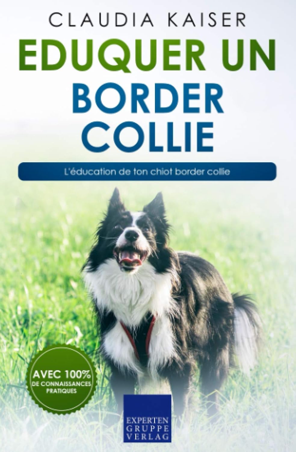 eduquer un border collie