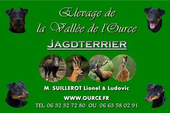 Liste éleveurs de la race Jagdterrier - siteduchien.com