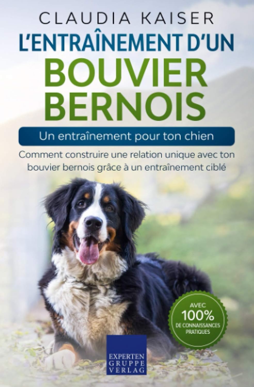 entrainer un bouvier bernois