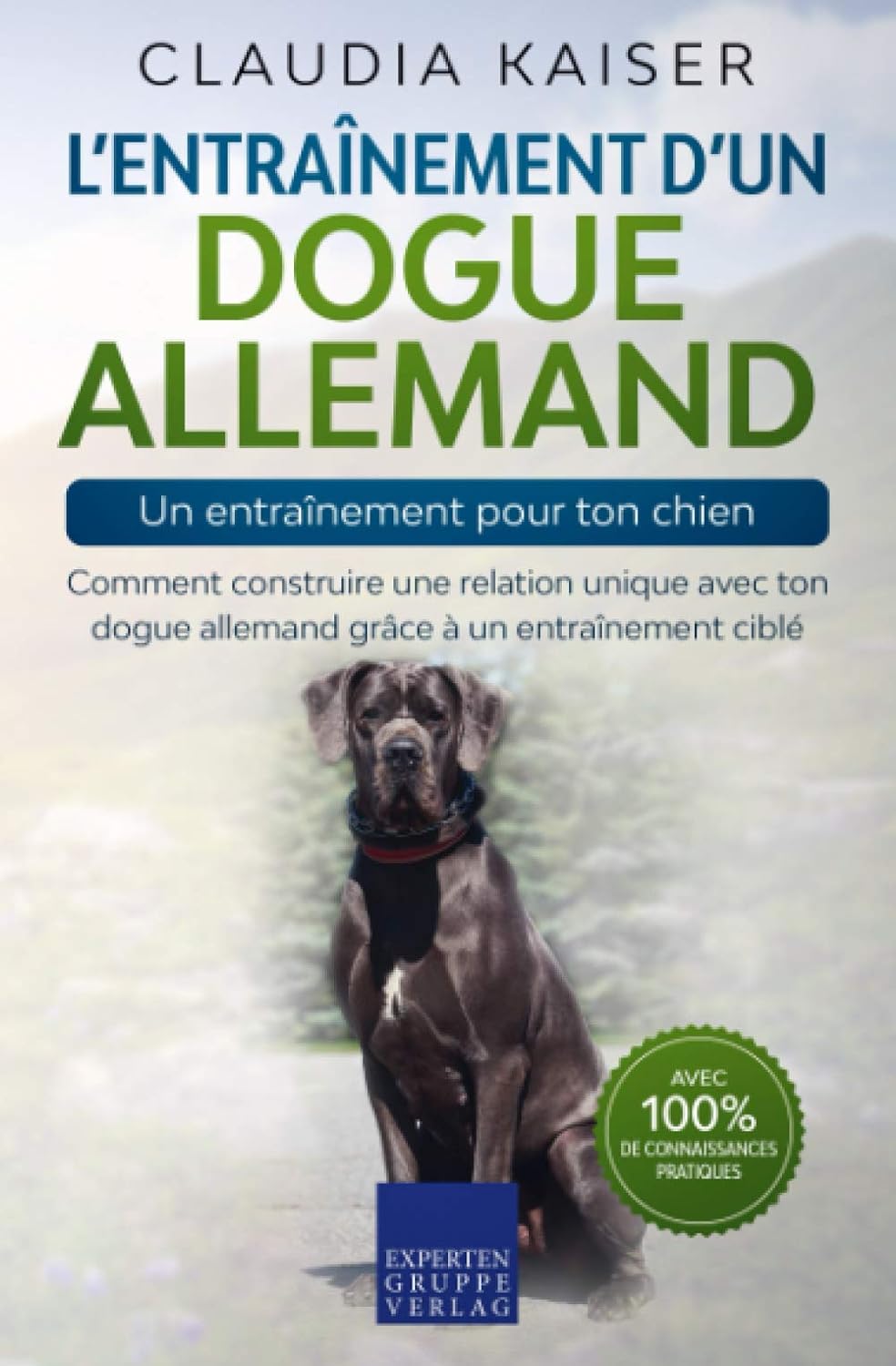 entrainement dogue allemand