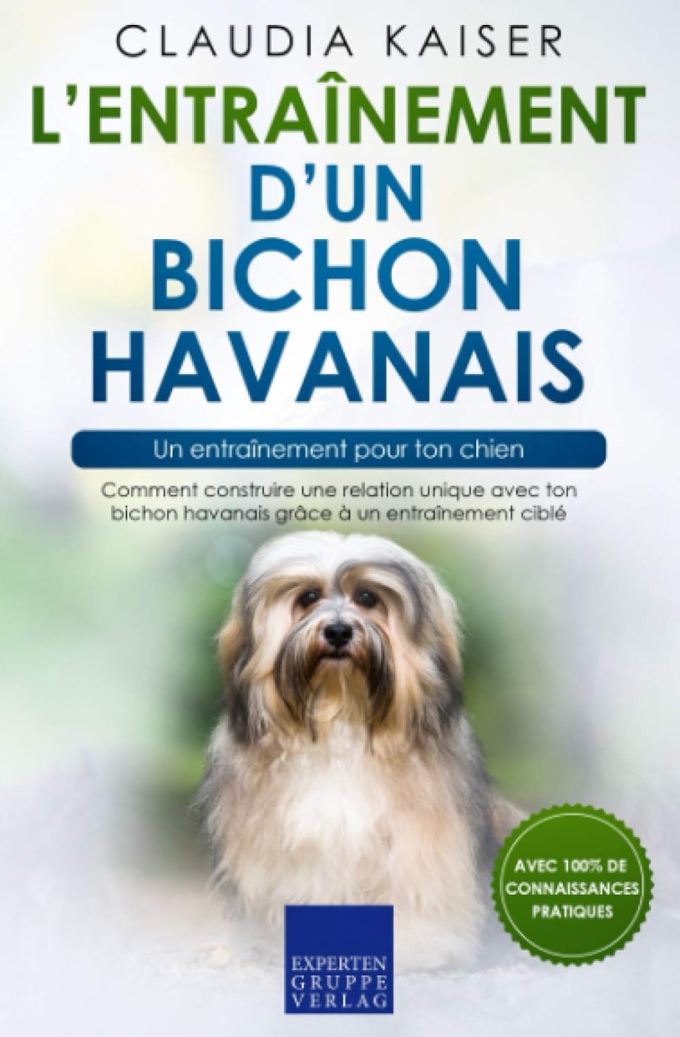 entrainer un bichon havanais