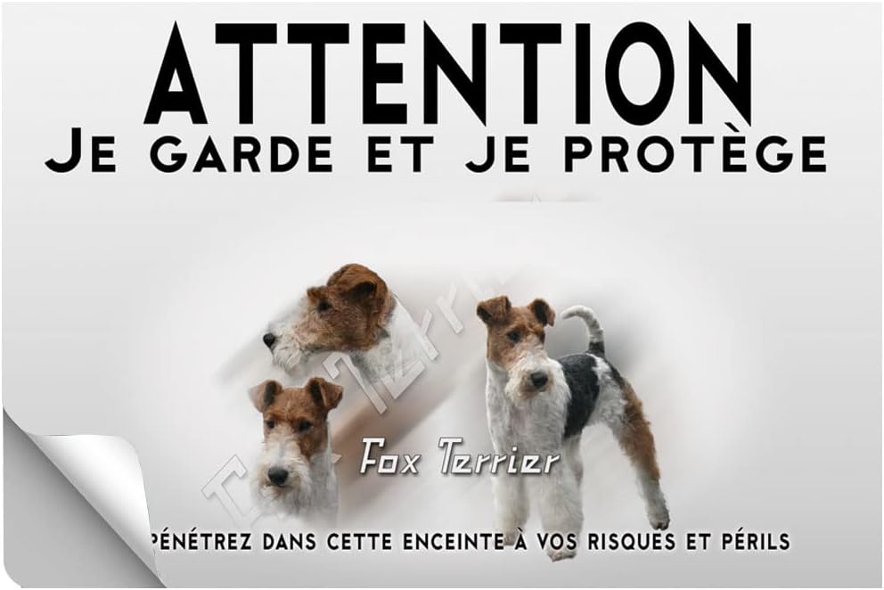 livre fox terrier