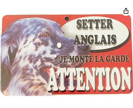 setter anglais