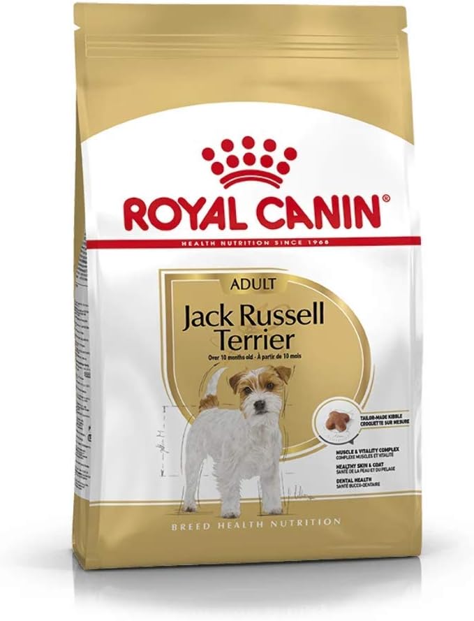 croquettes pour jack russel